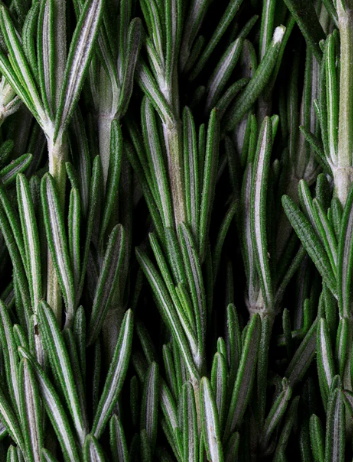 THALEA Scalp Scrub - Scalp Scrub 170ml / 5.75fl oz