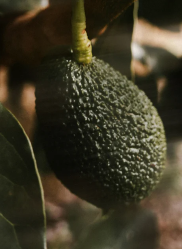 THALÉA Rescue - Masque capillaire réparateur à la kératine 170ml / 5.75 fl oz