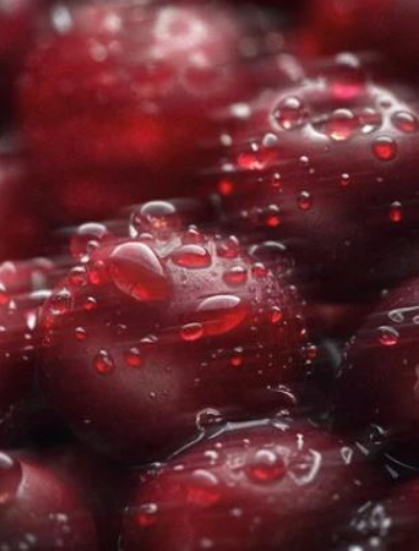 OPSIA - Exfoliant 250ml / 8.45 fl oz