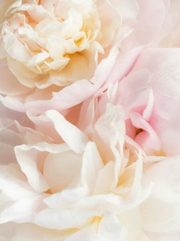 RHEA Baby Shampoo - Gentle Baby Shampoo 400ml / 13.53 fl oz